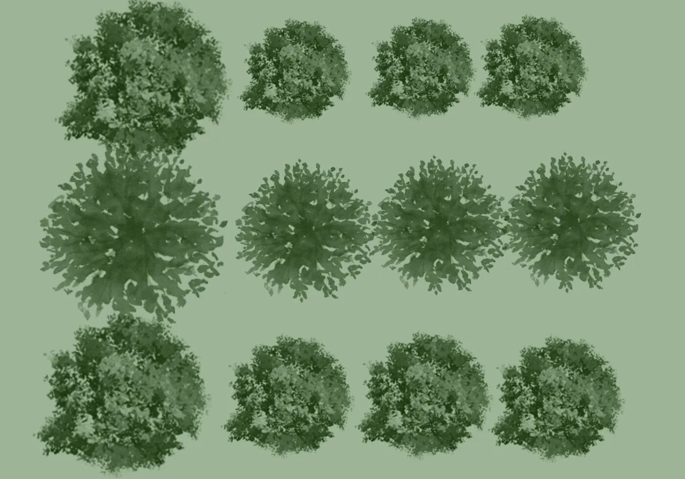 Деревья вид сверху. Деревья для ландшафтного плана. Дерево вид сверху архикад. Куст вид сверху. Деревья вид сверху.