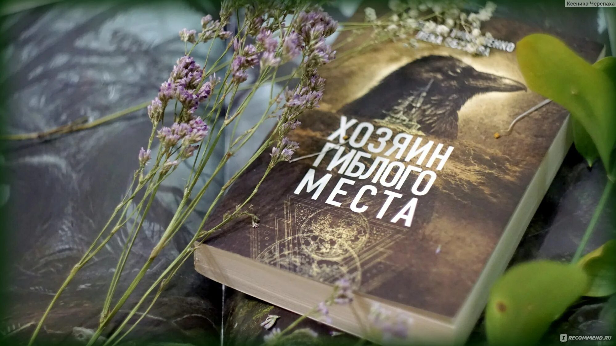 Хозяин гиблого места книга. Книги натальи тимошенко и елены