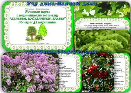 С травяных кустов