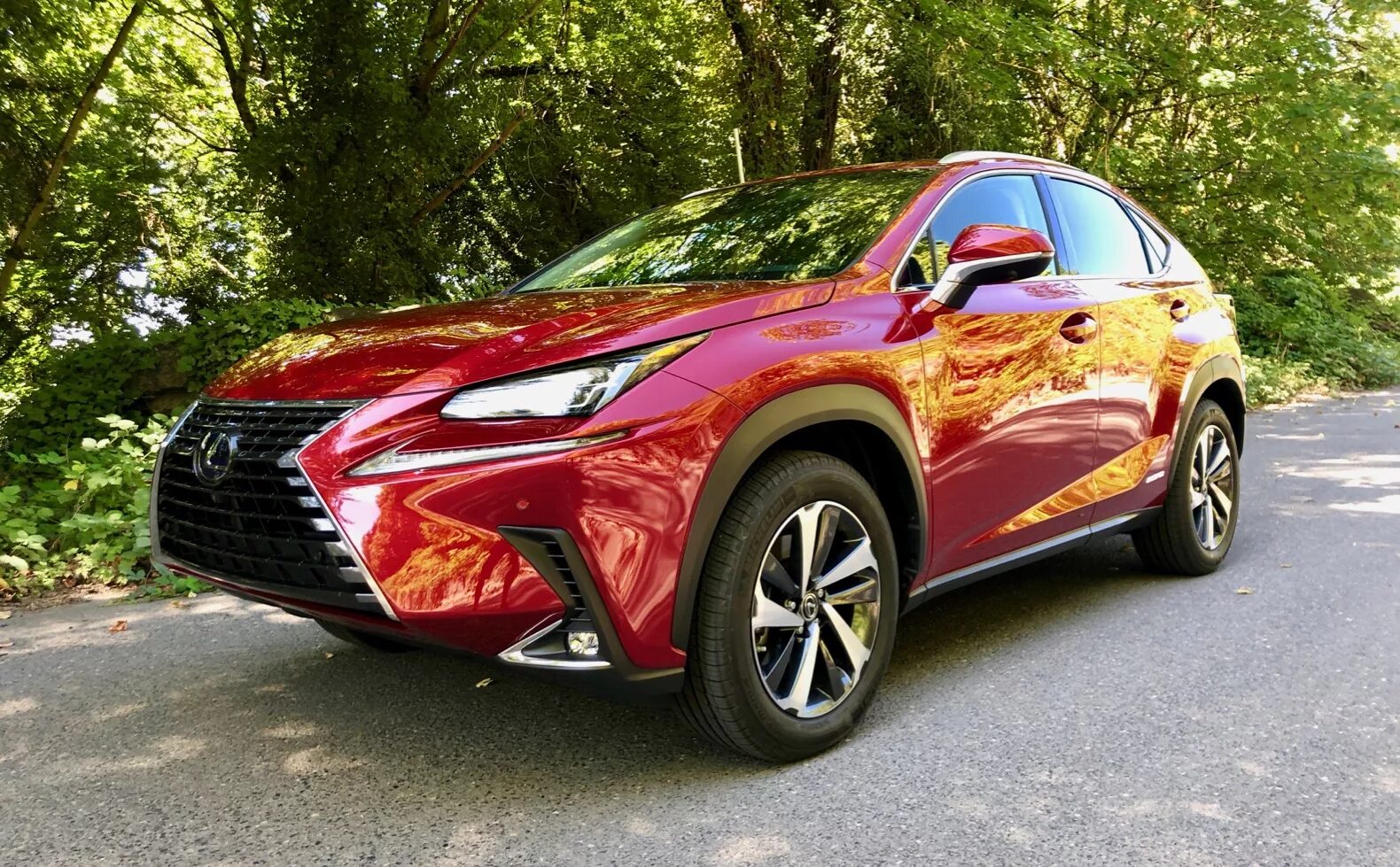 Lexus NX 300 2020. Lexus Lexus NX 300h. Лексус НХ 300h 2020. Лексус NX 300 2020 красный. Lexus nx 300h