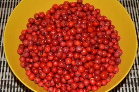 Что можно приготовить из ягод рябины