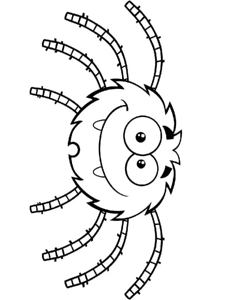 Паук раскраска. Паук раскраска для детей. Паучок раскраска для детей. Паук для раскрашивания детям. Паук раскраска для детей 4 5 лет