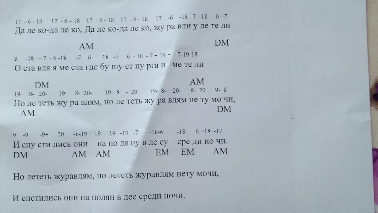 Далеко далеко журавли слова. Далеко Журавли улетели текст. Далеко Журавли улетели Ноты. Далеко-далеко Журавли улетели аккорды. Журавли улетели аккорды.