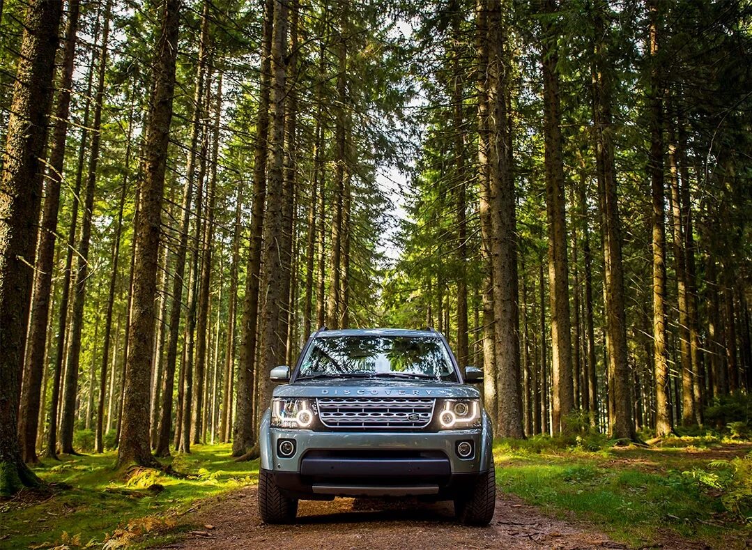 митсубиси л200 в лесу. новые машины в лесу. лес из окна машины. фольксваген тигуан в лесу. Ford f 150 обои.