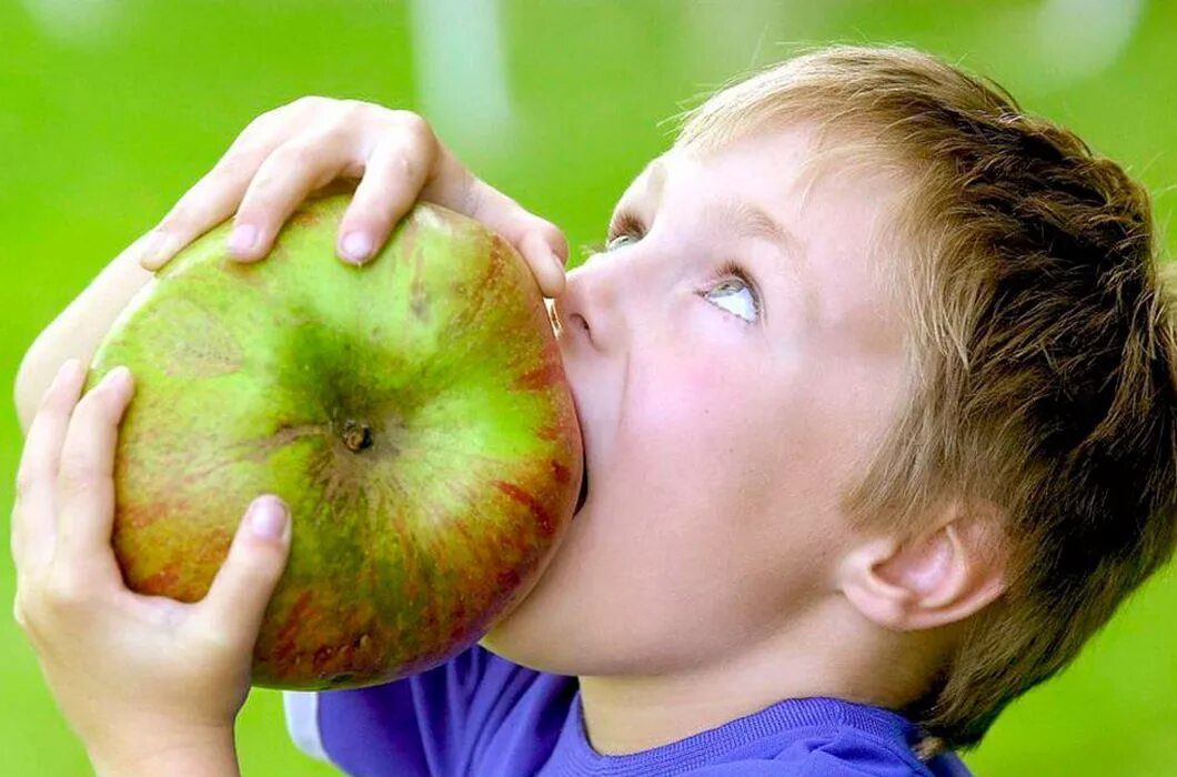 Плоды жизни дети. Гигантское яблоко. Большие фрукты. Крупные яблоки. Фрукты для детей.