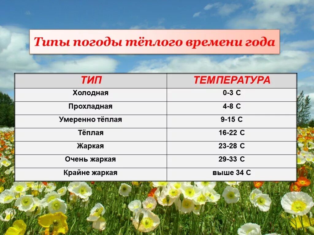 Месяца в теплое время. Типы погоды. Какие бывают типы погоды. Типы погоды холодного времени года. Определить Тип погоды.