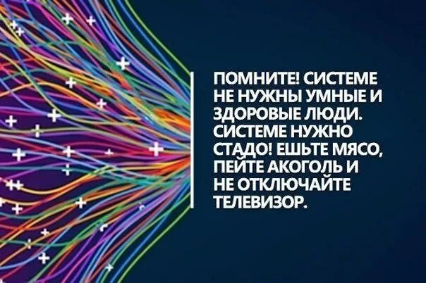 Умных не надо