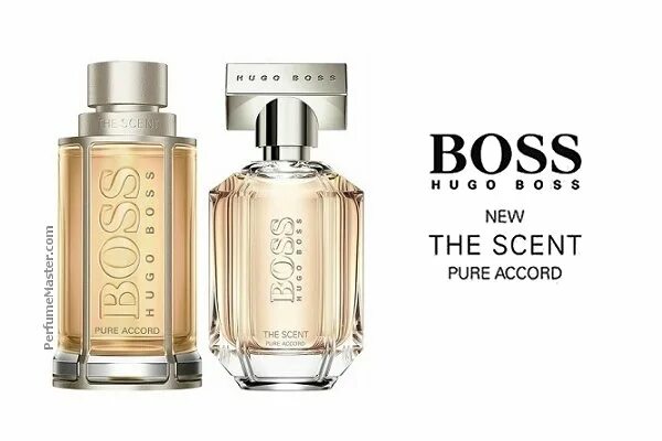 Pure accord. Hugo Boss the Scent Pure Accord. Хьюго босс the Scent Pure Accord мужские. Hugo Boss the Scent Pure Accord 50 ml. Hugo Boss the Scent Pure Accord for her.