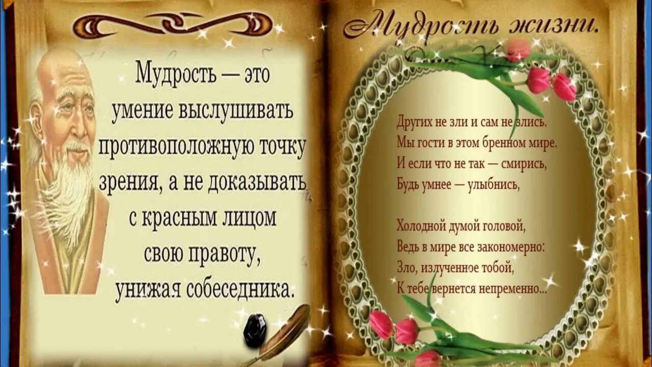 Мы гости в этом