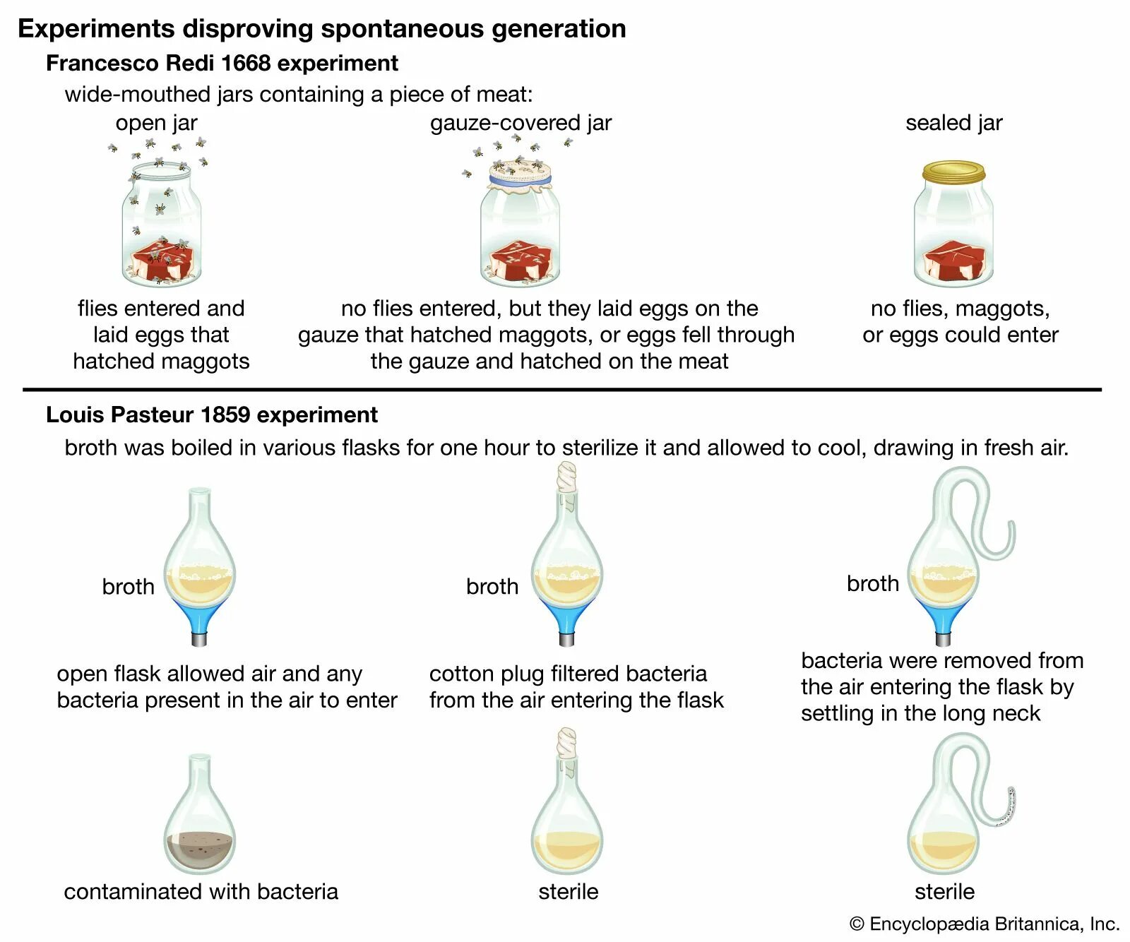 This experiment