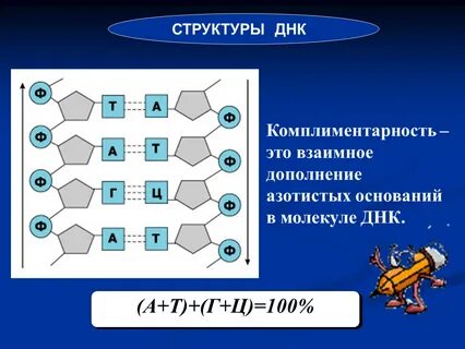 Взаимно дополняют