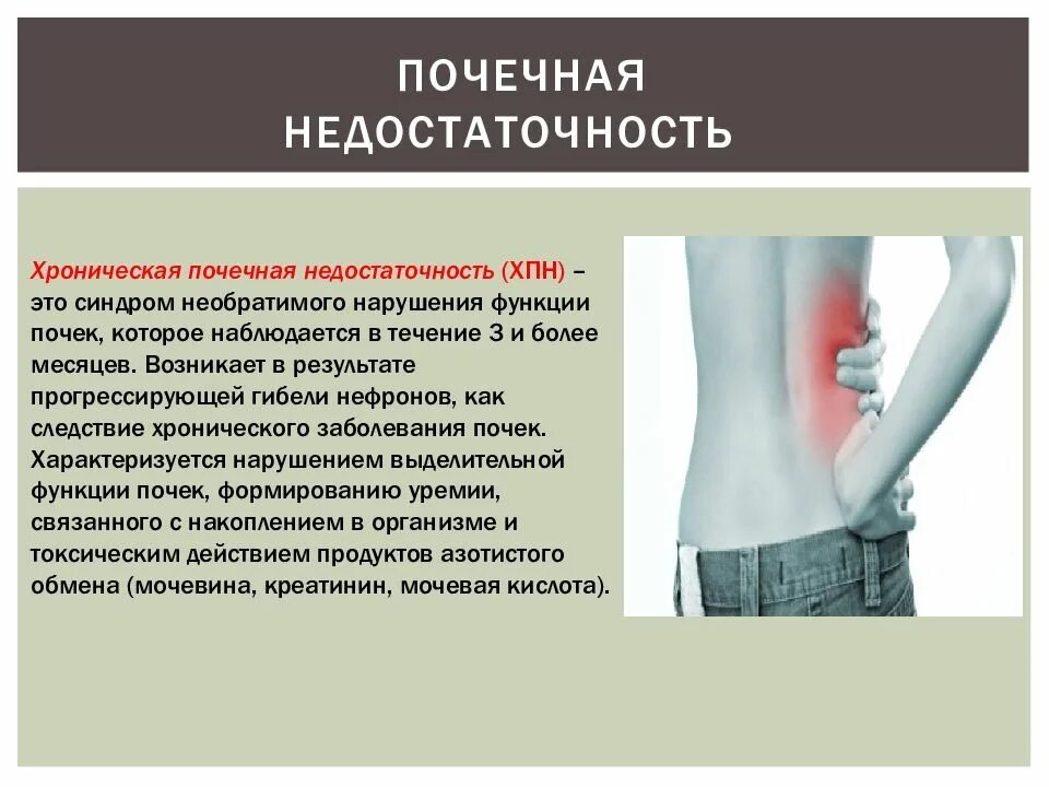Как выявить почечную недостаточность. Почечная недостаточность. почечная недостаточность симптомы. хроническая почечная недостаточность. недостаточность функции почек.