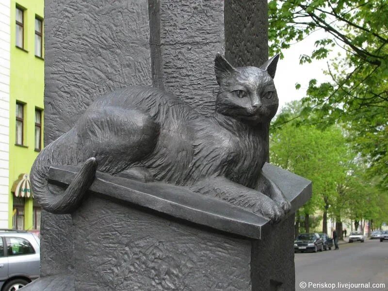 Памятники котам в россии. Кошки захватывают. Кошка брест. Кошка брест. Город посвященный кошкам.