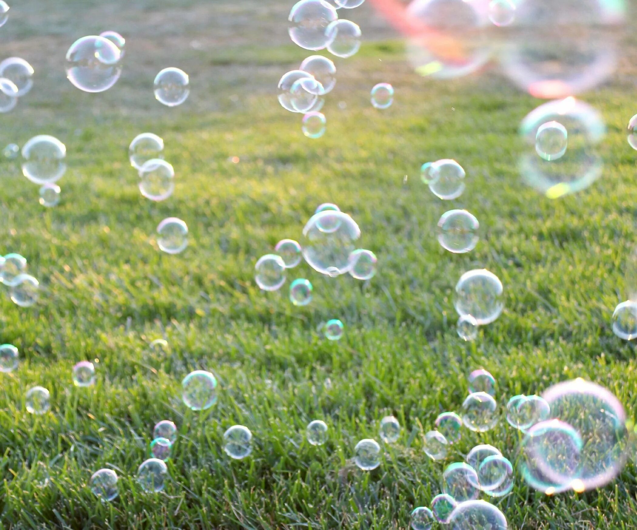 Покажи картинку пузыри. Мыльные пузыри. Цветные мыльные пузыри. Пузыри в природе. Мыльные пузырьки.