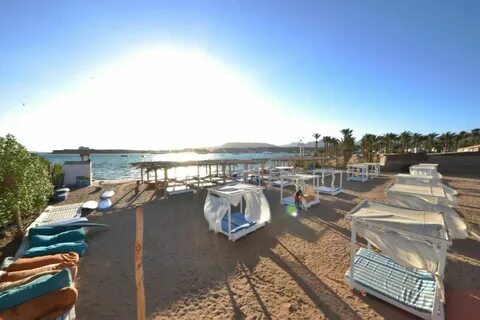 Palma di sharm hollywood resort 4 отзывы