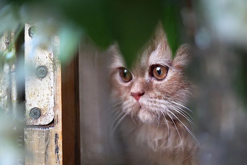 Илья пономарев начальник строительства в роскосмосе. Опять накажешь. Опять накажешь. Под союз. Найдем и покараем путин.