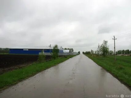 Сельхоз земля тульская область