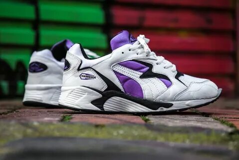 Puma morphic