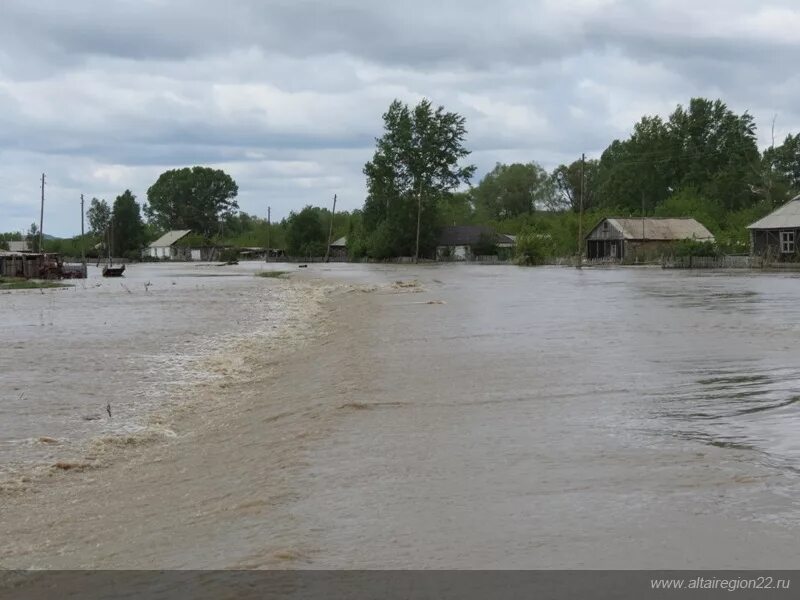 Село Трусово Алтайский край Курьинский район. Село Трусово Курьинский район. Село Трусово Курьинский район архив. Село Трусово Курьинский район Алтайский край архив. Погода трусово курьинский алтайский край