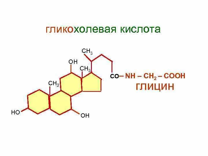 Общая структурная формула желчных кислот. Гликохолевая кислота формула. Синтез таурохолевой кислоты. Таурохолевая кислота структурная формула. Формула таурохолевой кислоты.