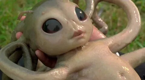 Alien baby