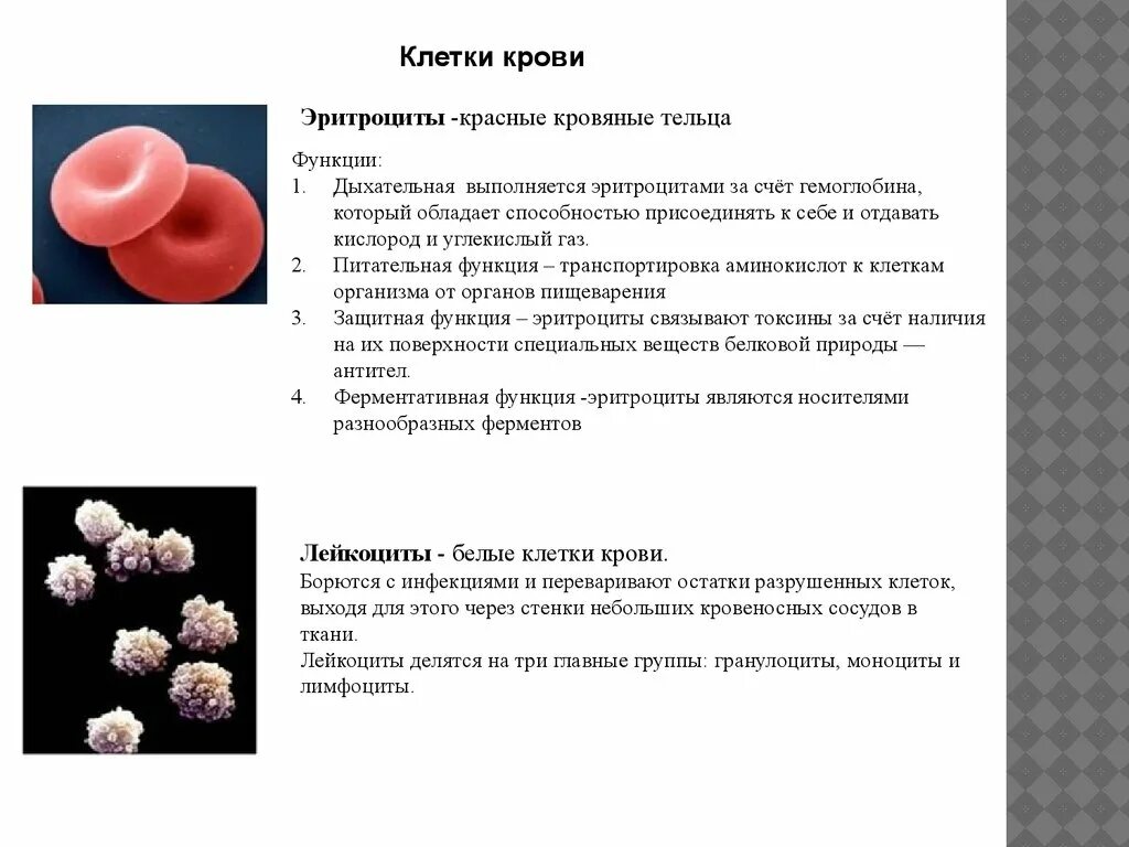 3 признака эритроцитов. Клетки крови функции клеток крови. Функции кровяных клеток. Функции эритроцитов в крови. Клетки крови эритроциты функции.