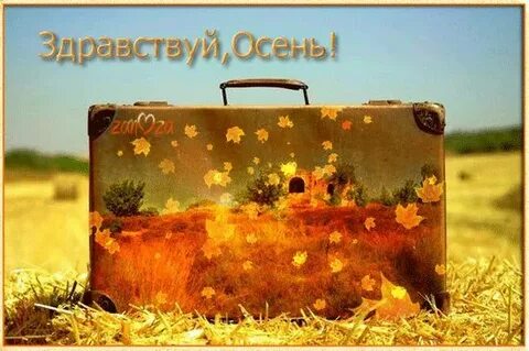 Прощай лето выход в