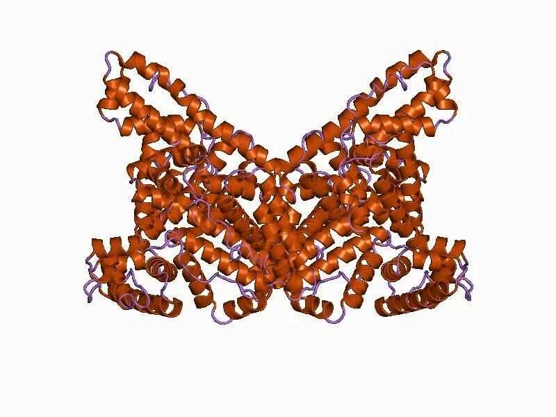 Глобулин кот. Альбумин глобулярный белок. Альбумин белок плазмы. Альбумин молекула. Глобулярная структура альбумина.