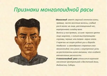 Характеристика монголоидной расы