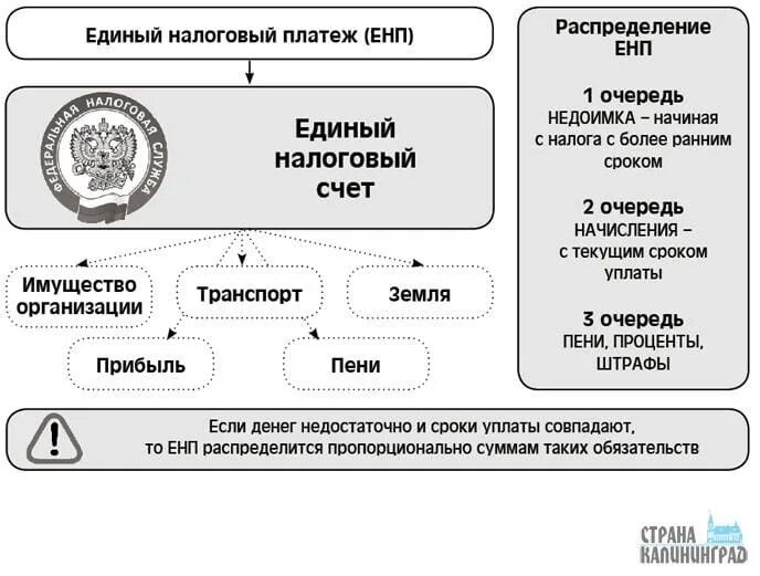 Налог на прибыль в енп