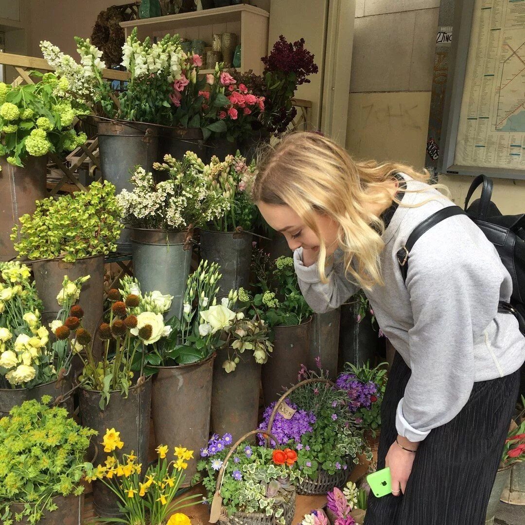 Domenika flowers