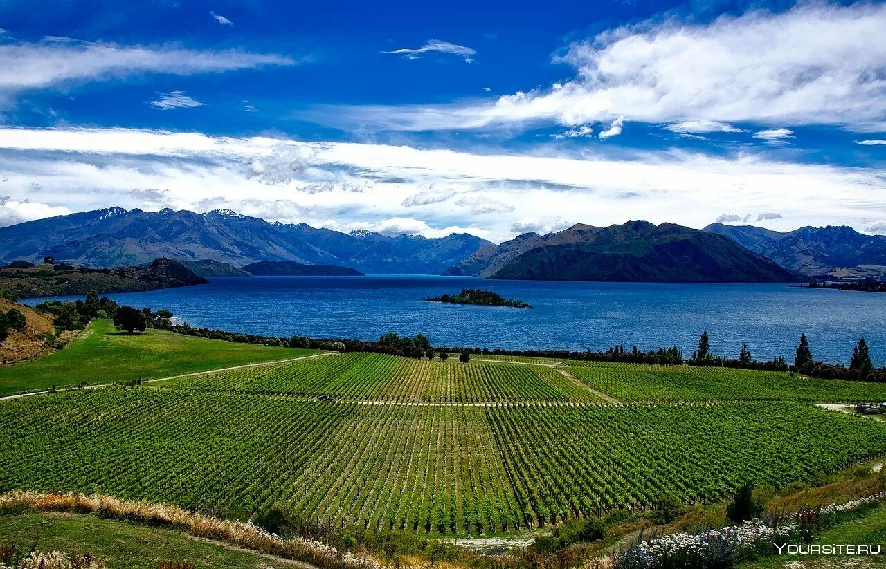 Who new zealand. Новозеландия. Новая Зеландия виноградники. Марлборо новая Зеландия. Долины новой Зеландии.