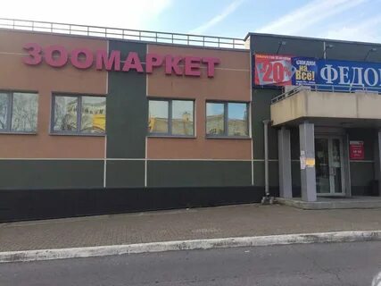Слоны хабаровск