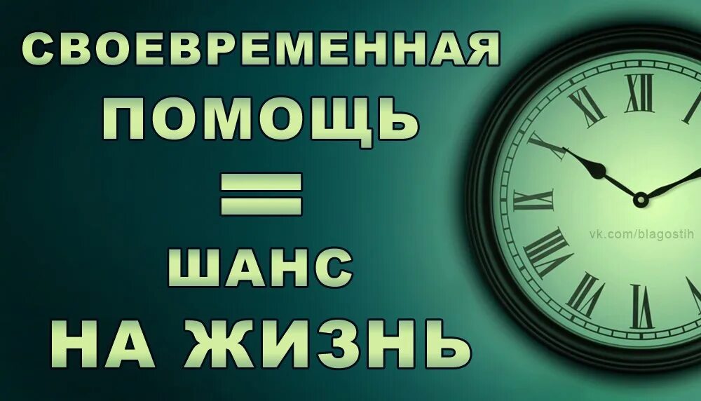 Шанс на жизнь читать. Помогите успеть закрыть сбор. Важна любая помощь. Успей помочь. Шанс в жизни.