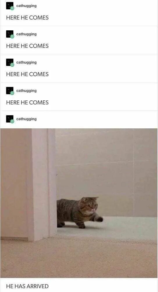 The room when he arrived