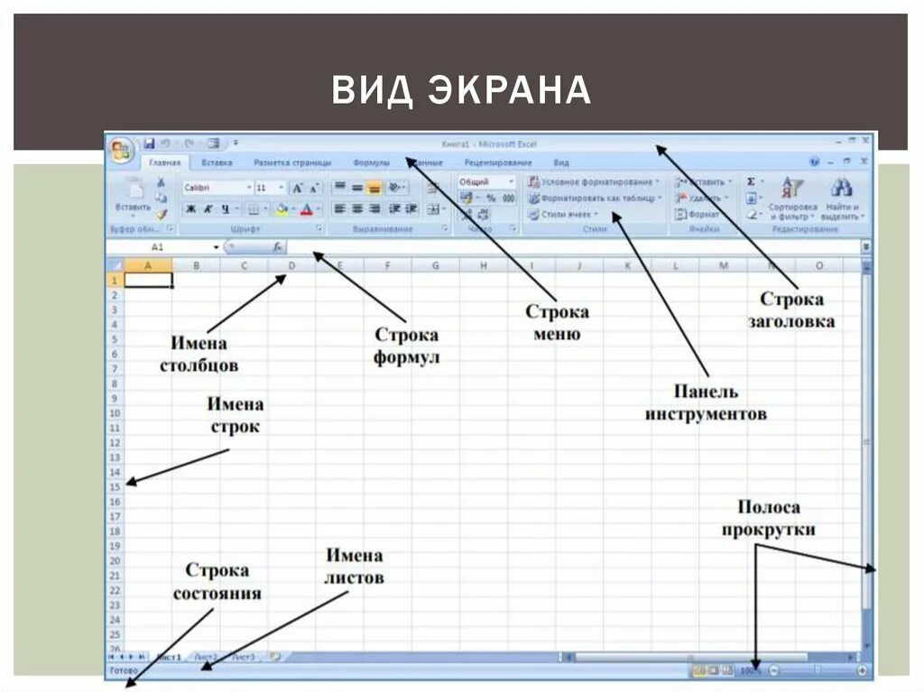 Покажи на экране сколько. Виды электронных таблиц. Вид электронной таблицы на экране. Электронная таблица это в информатике. Рабочая область электронной таблицы.