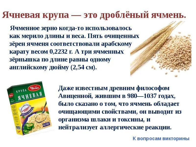 Из чего делается ячневая крупа. Чем полезна ячневая крупа. ячневая крупа содержит глютен. чем полезна ячневая каша. клетчатка в ячневой каше.