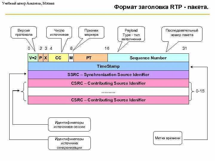 На основании данных протоколов. RTP пакет структура. Формат RTP пакета. Структура пакета для передачи мультимедийного трафика RTP. Структура RTP протокола.