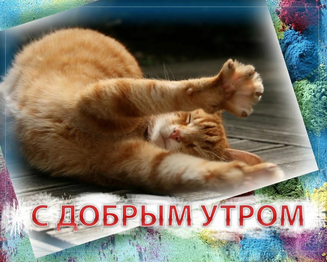 Доброе утро что ты делаешь. С добрым утром. пожелания с добрым утром прикольные. открытки с добрым утром. открыточки с добрым утром.