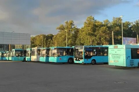 Автобус 207 спб