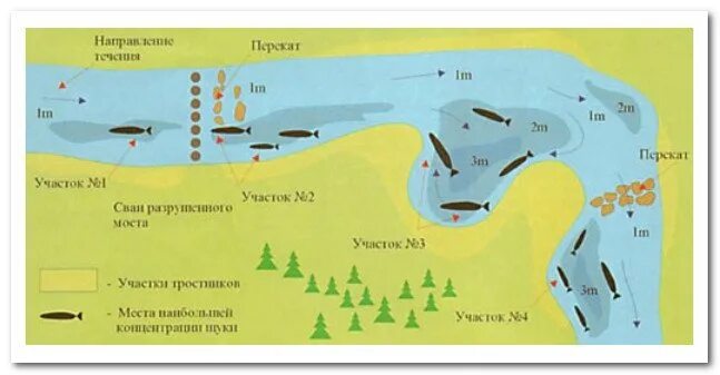 В каких местах ловить рыбу. Стоянки леща на реке летом. Места стоянки щуки на реке зимой. Места ловли щуки на реке. Щука места стоянки.