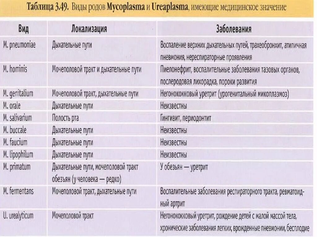 Возбудители бактериальных кишечных инфекций таблица. Возбудители кишечных и респираторных бактериальных инфекций. Бактерии возбудители заболеваний. Возбудители кишечных и респираторных заболеваний таблица. Хроническое заболевание латынь