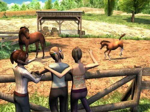 Академия верховой езды игра. Riding academy 350ra. Riding academy. Игра академия конного спорта 2. Игра академия конного спорта 2.