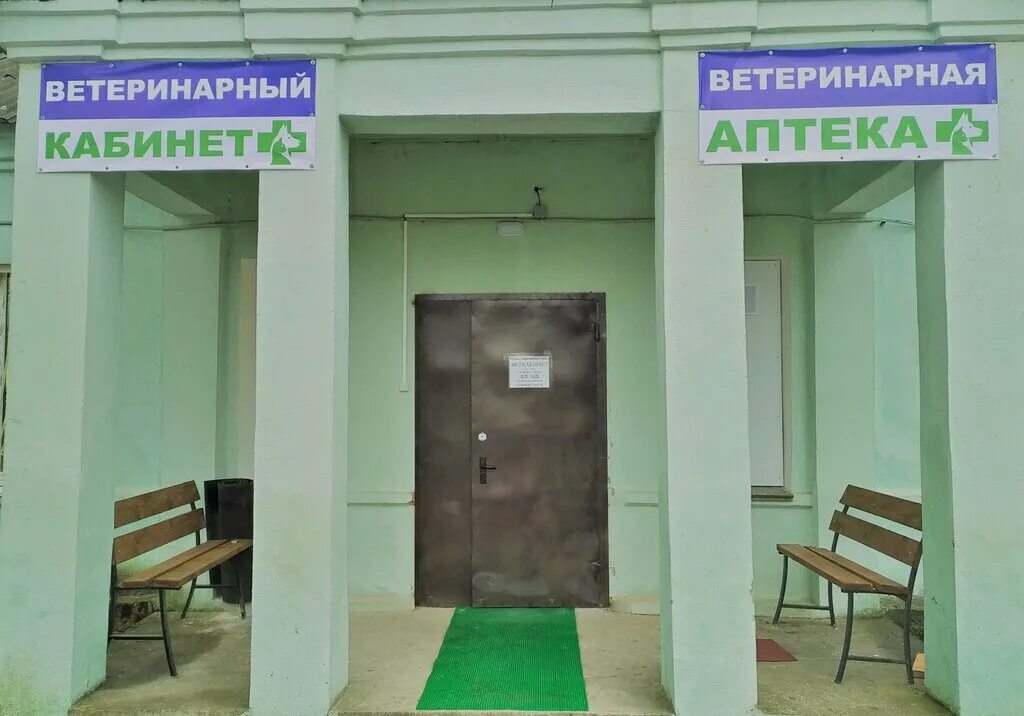 ветеринар 54 новосибирск улица энгельса. ветеринар ярцево. ветеринарная клиника ярцевская. ветеринар клиника. ветеринар энгельс.