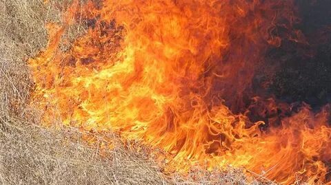 T burn burn