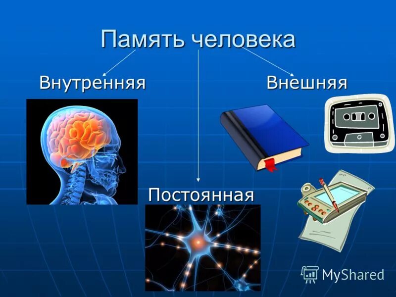 Память варианты. Память презентация. Память человека презентация. Память слайд. Презентация на тему память человека.