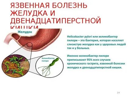 Болезнь 12 перстной
