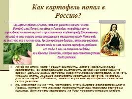 Презентация "Роль овощей в питании человека" для 5 класса