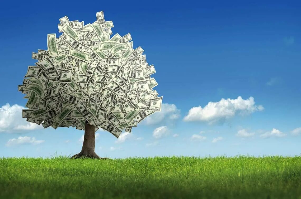 Дерево притягивающее деньги. Доллар дерево. Дерево из денег. Кусты деньги. Деньги без фона.