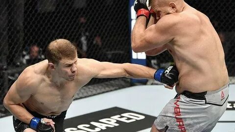 Российское ufc
